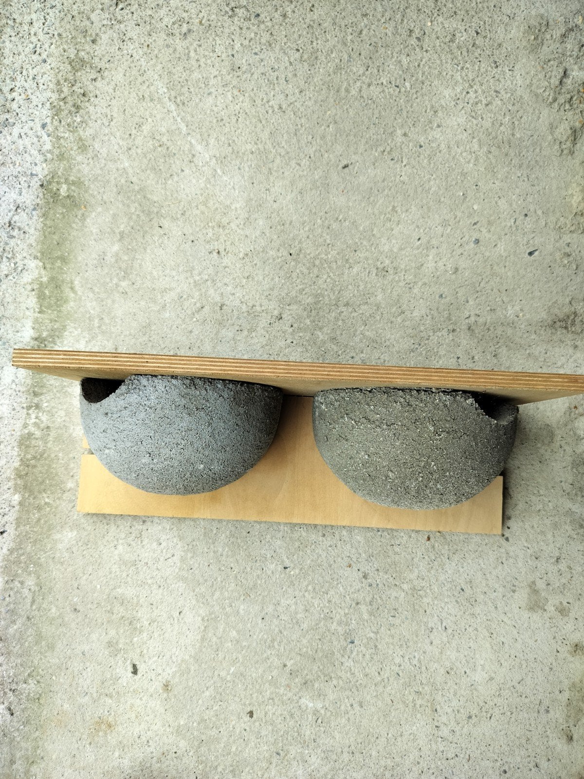 Dubbel zwaluwnest