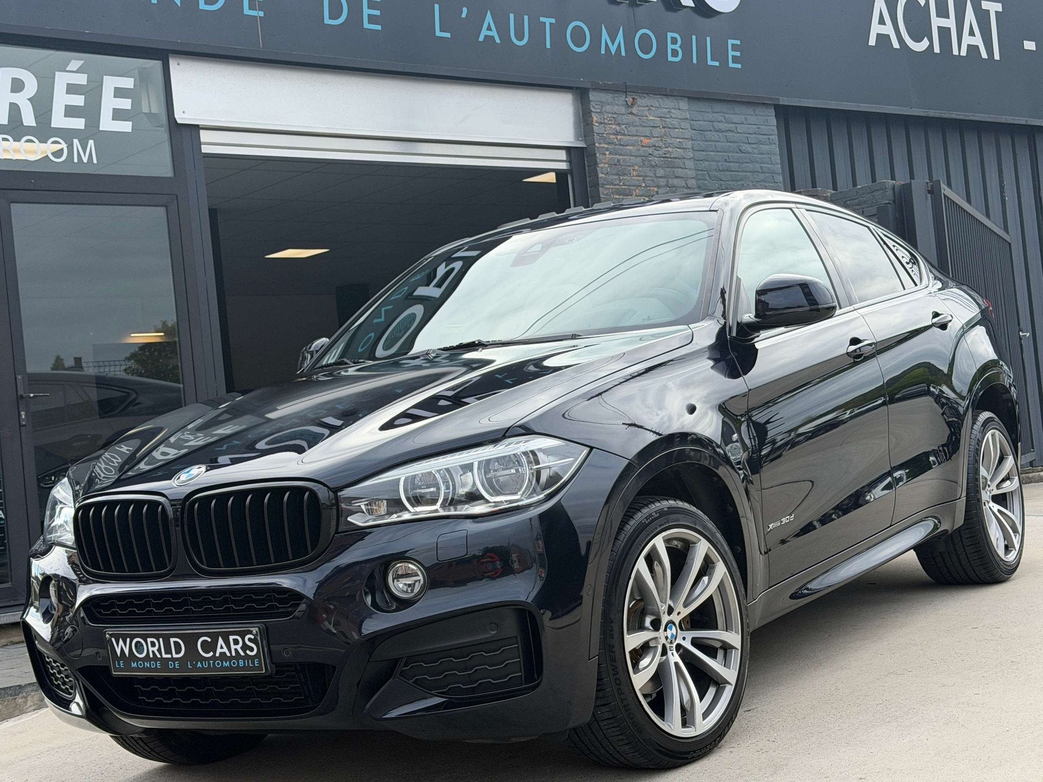 BMW X6 X6 3.0 dAS xDrive30 PACK M - TOIT OUVRANT - NAVI - LA, Euro 6, Entreprise, Automatique, Quatre roues motrices / 4X4