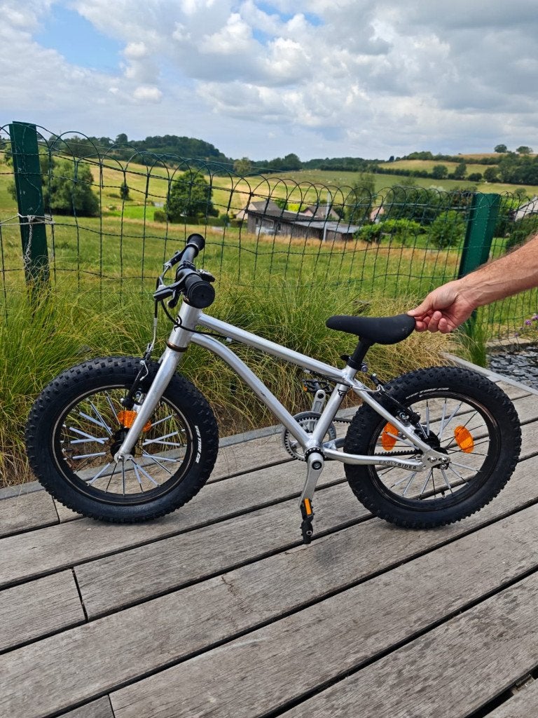 Seeker 16 Early Rider fiets, Fietsen en Brommers, Fietsen | Kinderfietsjes, Ophalen, Velgrem, Early Rider, 16 tot 20 inch