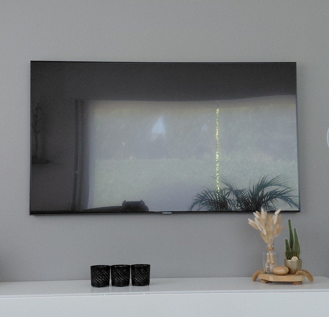 Samsung QE55Q9FN 55” QLED – defect scherm – One Connect Box, Enlèvement