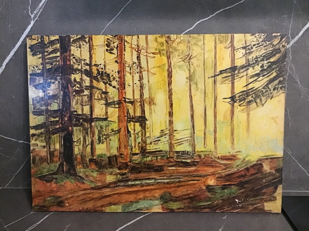 De Ardennen naar Medard Tytgat, Ophalen, Landschap