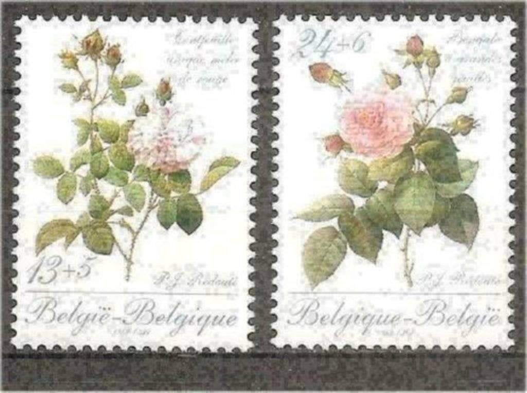 Belgique 1989 - Yvert/OBP 2318-2319 - Roses de Redoute (PF), Envoi, Non oblitéré, Neuf
