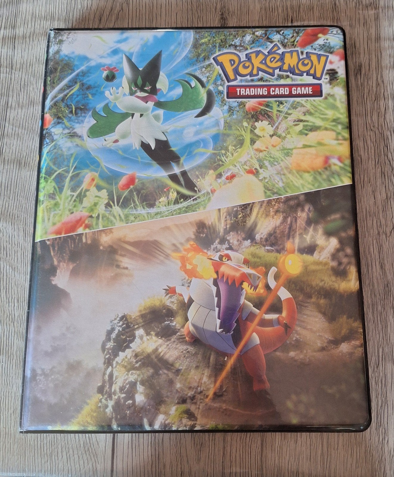 binder + 252 pokemonkaarten, Hobby en Vrije tijd, Verzamelkaartspellen | Pokémon, Ophalen of Verzenden