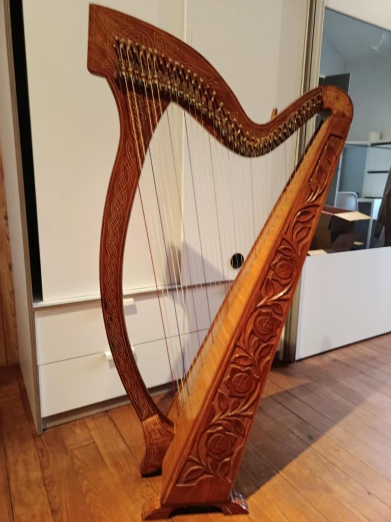 Harpe celtique irlandaise, Musique & Instruments, Enlèvement, Utilisé