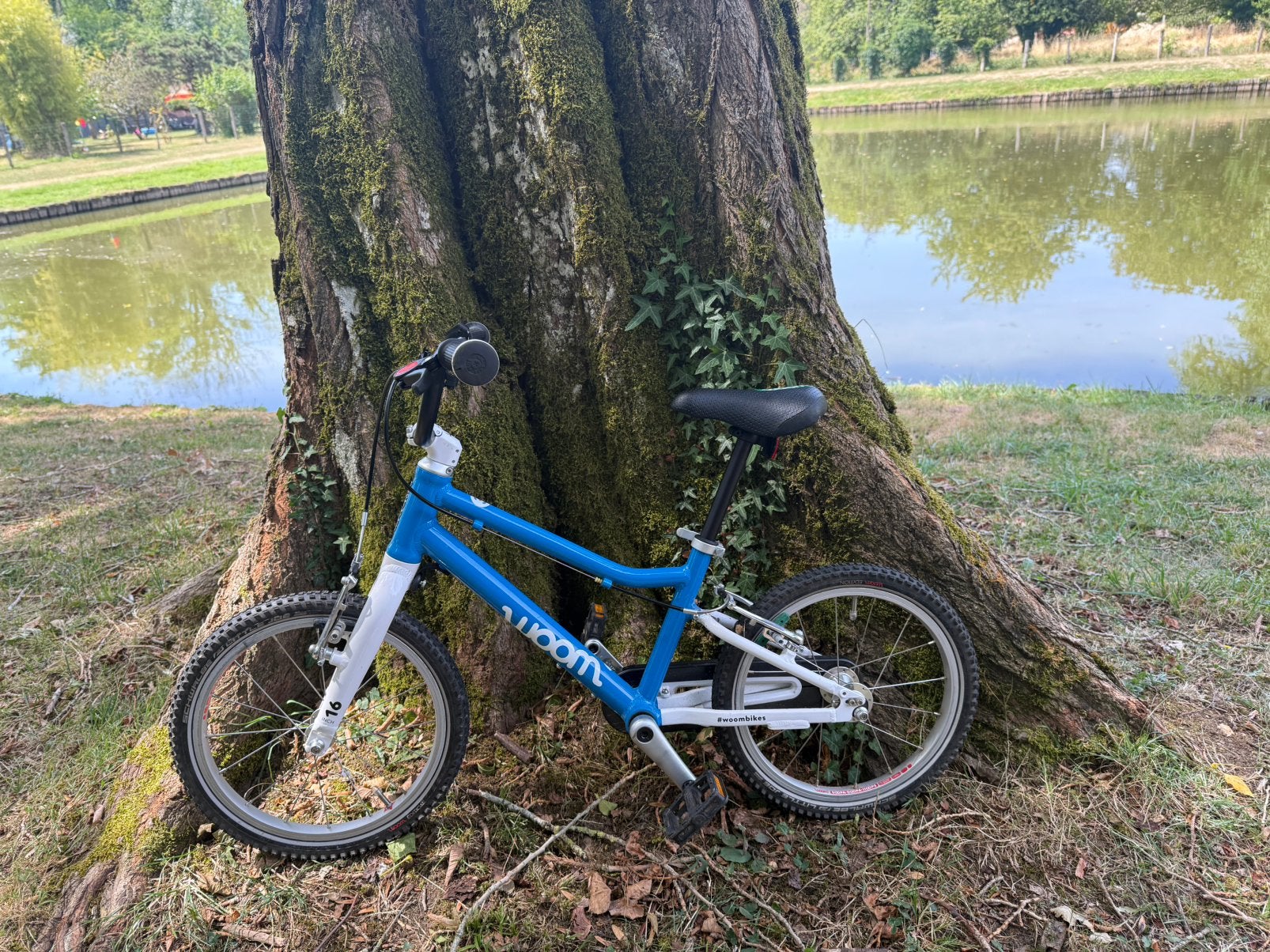 Woom 3, Fietsen en Brommers, Fietsen | Kinderfietsjes, Ophalen