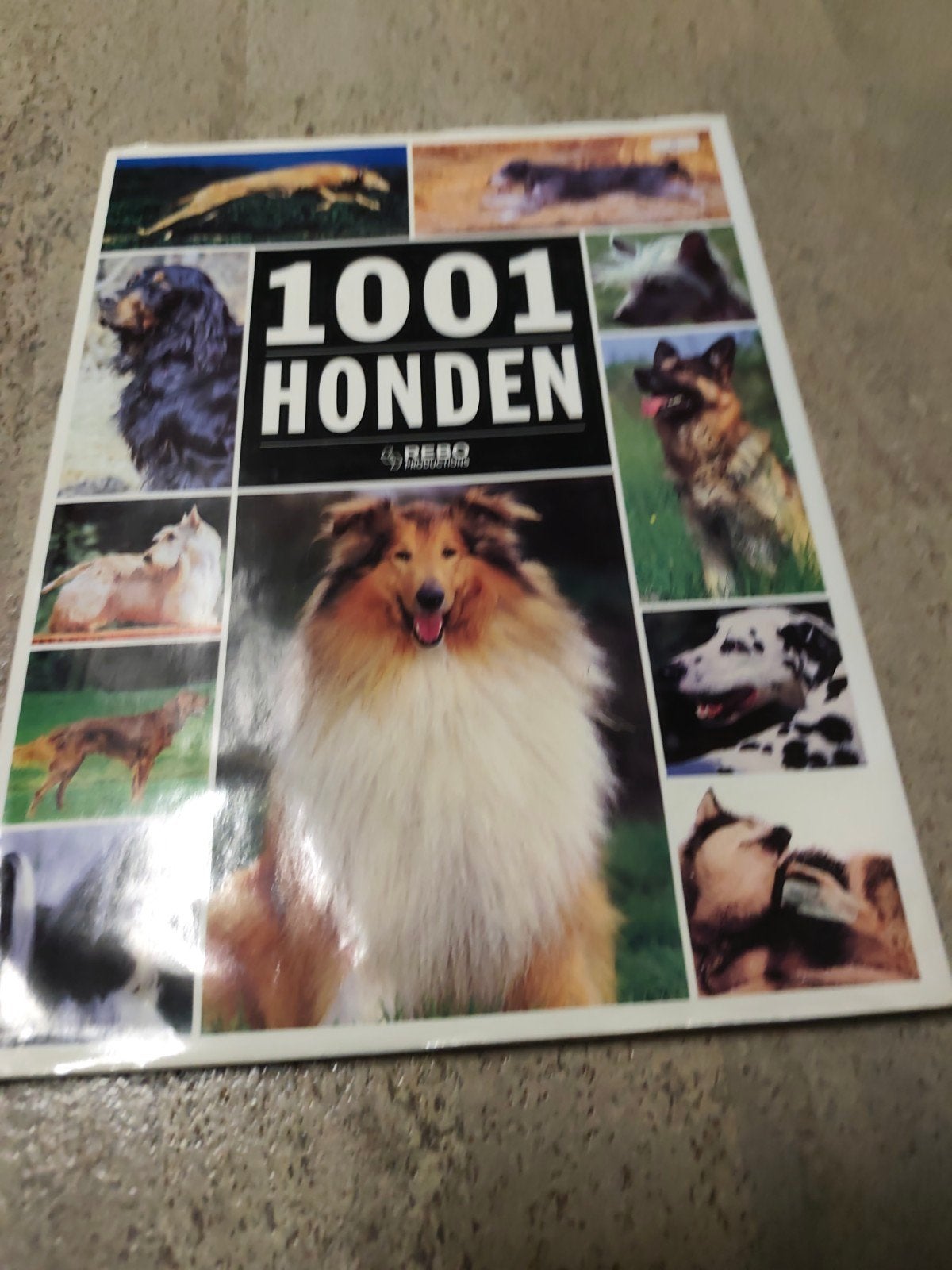 Huart - 1001 honden, Livres, Animaux & Animaux domestiques, Enlèvement ou Envoi, Huart