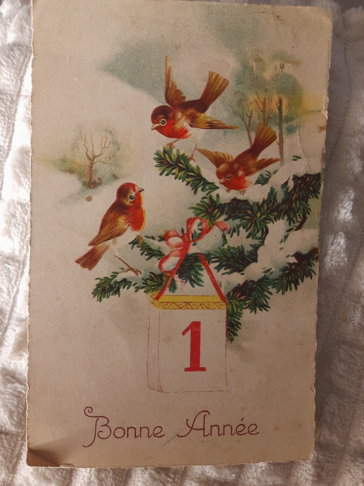 Wenskaart gestempeld in 1937 Birds/Snow/Fir, Verzamelen, Ophalen of Verzenden, 1920 tot 1940, Gelopen, Feest(dag)