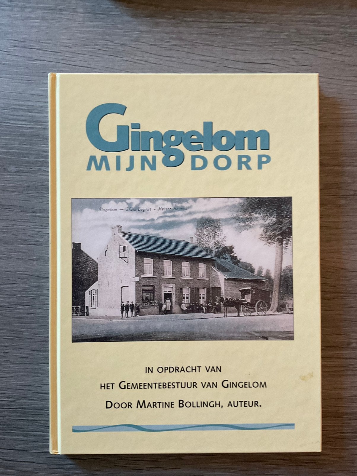 GINGELOM  mijn dorp, Boeken, Ophalen, Zo goed als nieuw