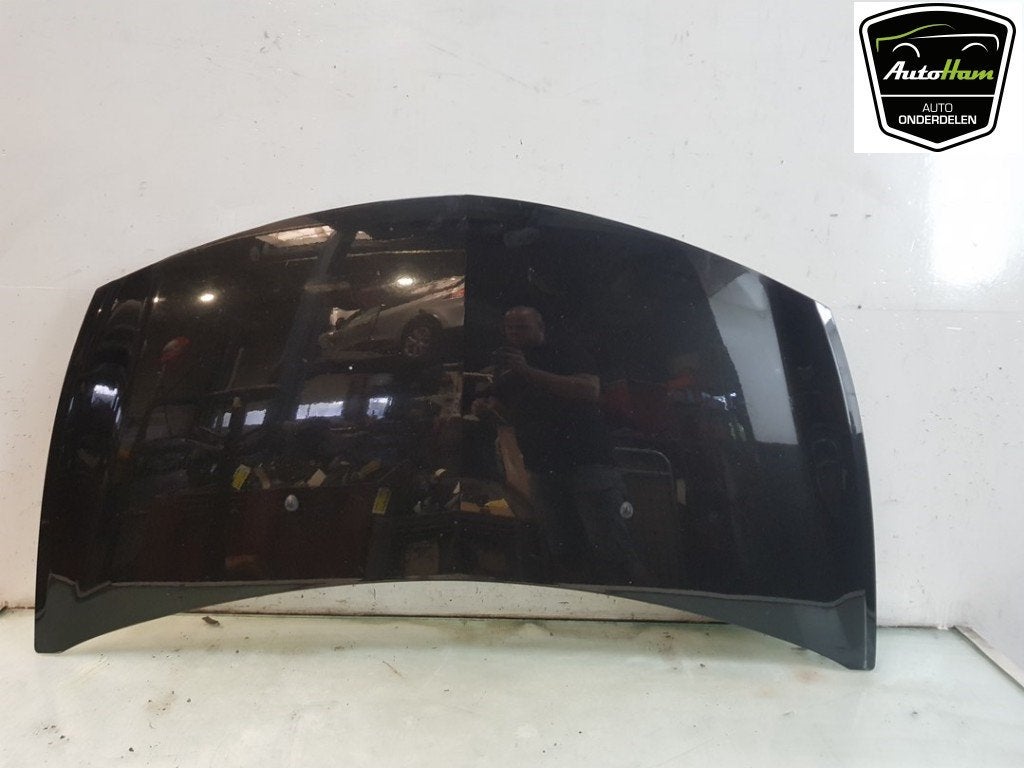 CAPOT Renault Clio III Estate / Grandtour (KR), Dhr. J. Ham, Renault, Administratie@autoham.nl, Utilisé