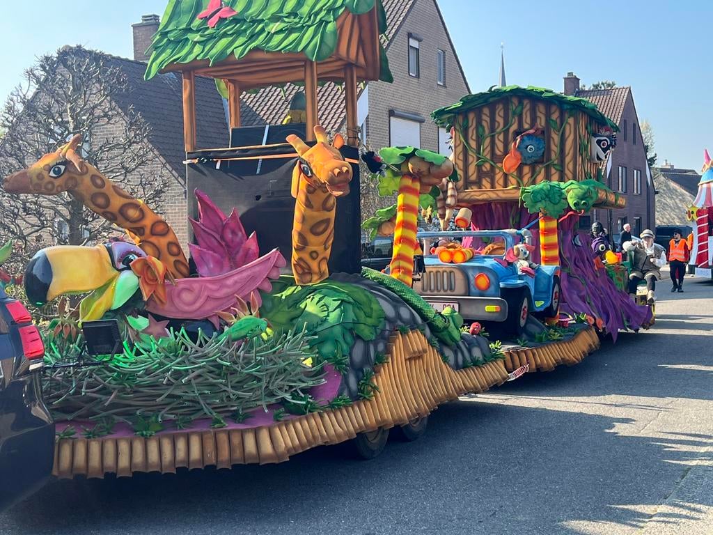 Carnavalswagen thema jungle, Enlèvement, Utilisé, Autres types