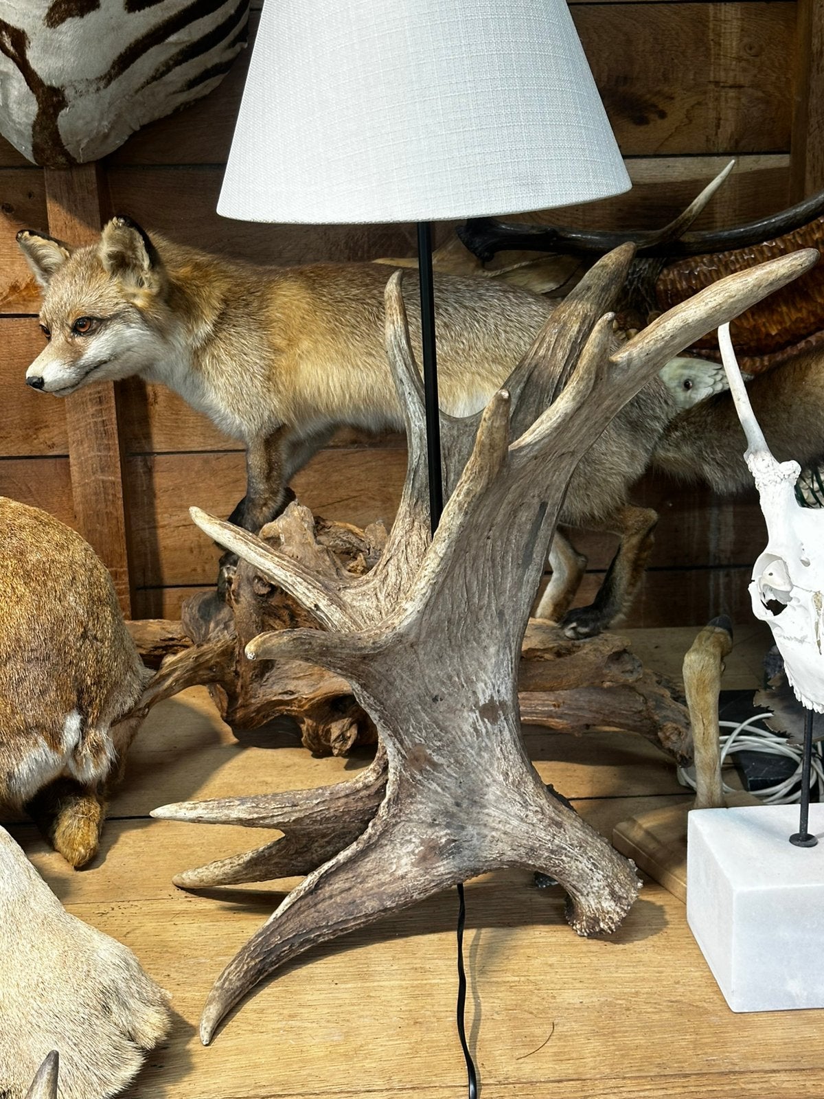 Eland gewei lamp, Maison & Meubles, Lampes | Abat-jour, Enlèvement, Comme neuf