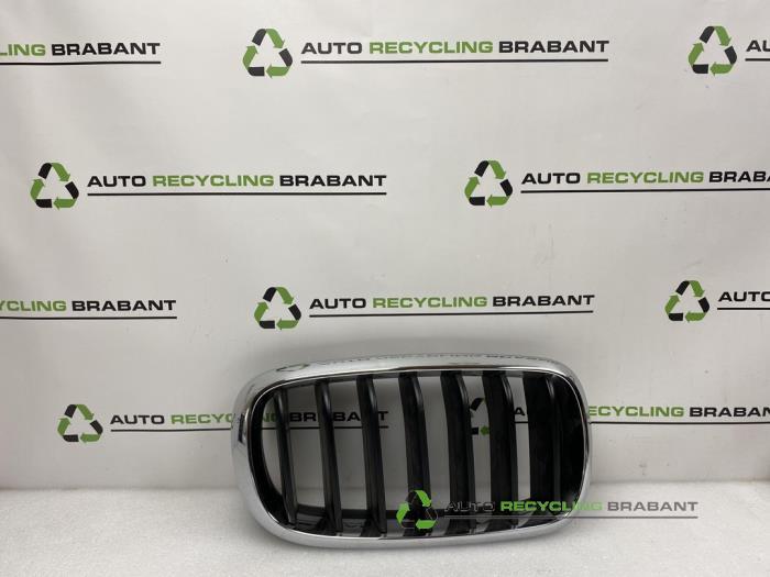 Grille van een BMW X5, Gebruikt, -, -, Ophalen of Verzenden