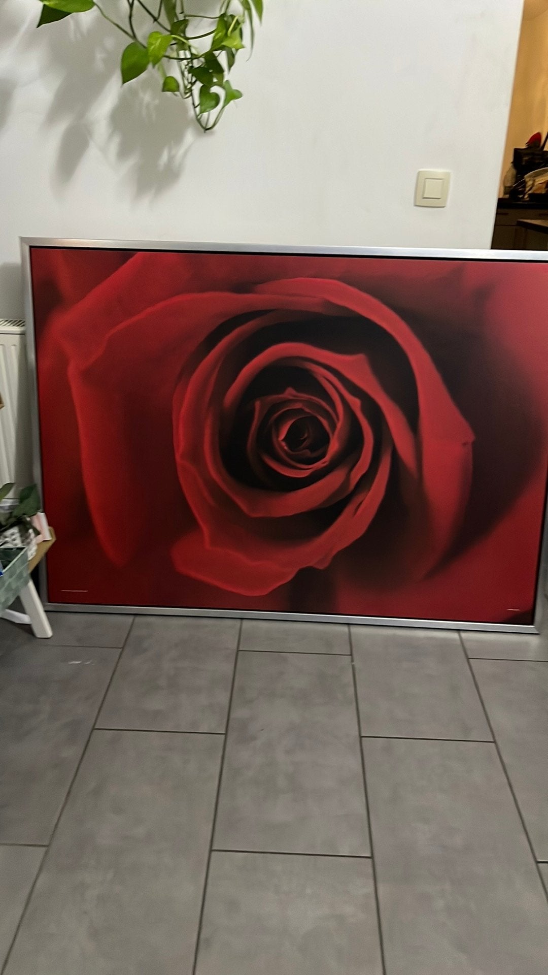 Cadre rose rouge  en très bonne état., Ophalen of Verzenden
