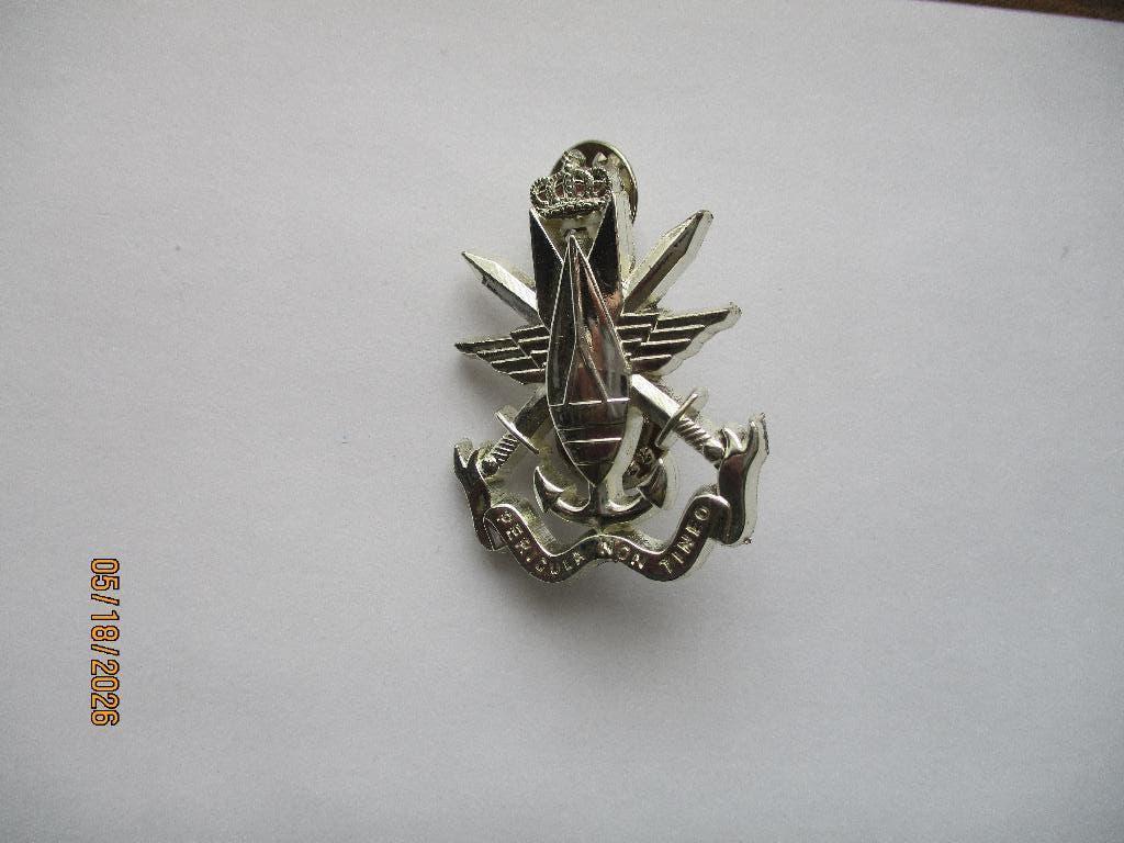 DOVO : Nouveau chapeau, plaque d'immatriculation, Collections, Objets militaires | Général, Envoi