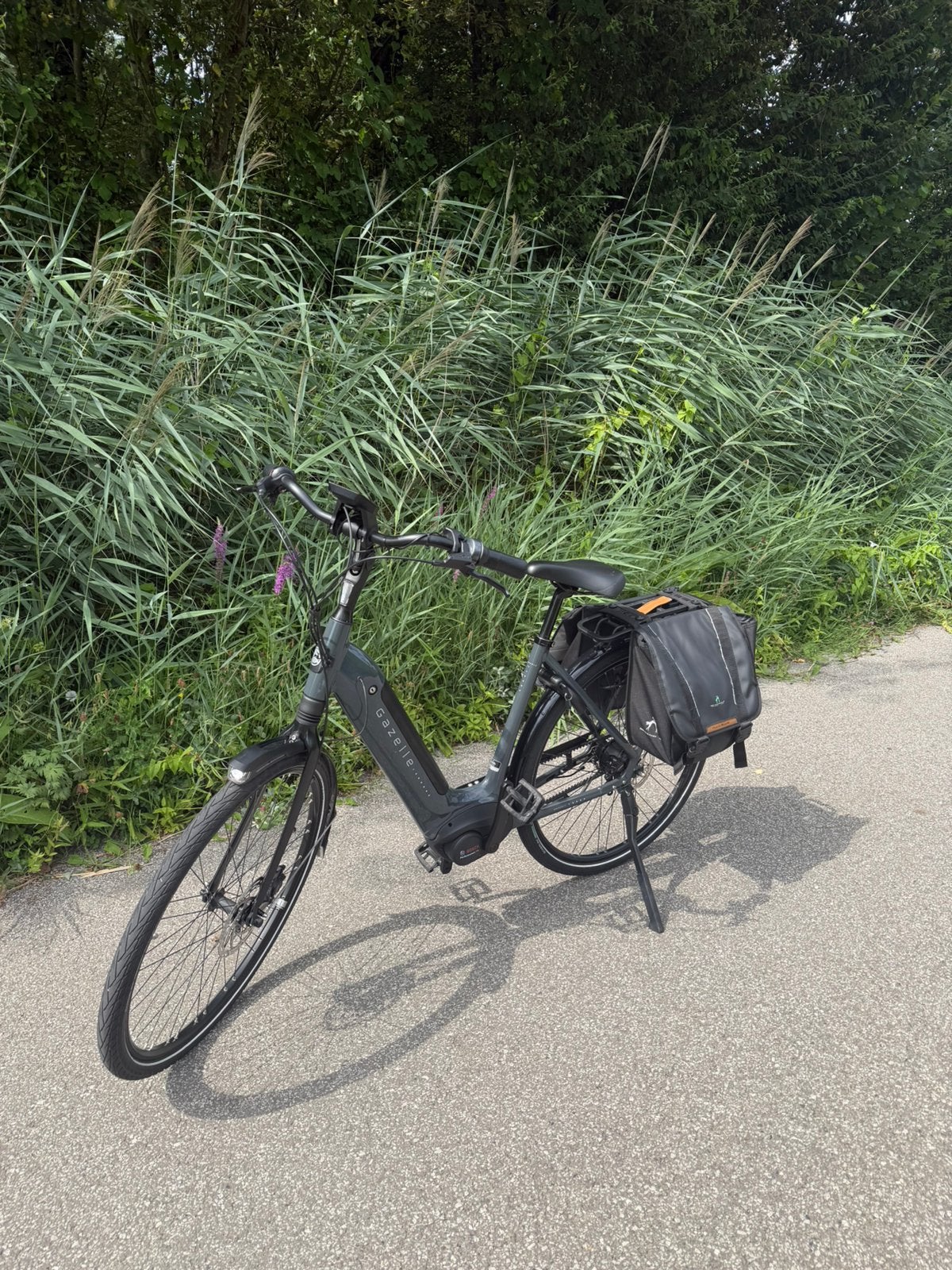 Gazelle grenoble c5 belt 500W, Fietsen en Brommers, Ophalen, Zo goed als nieuw, Gazelle