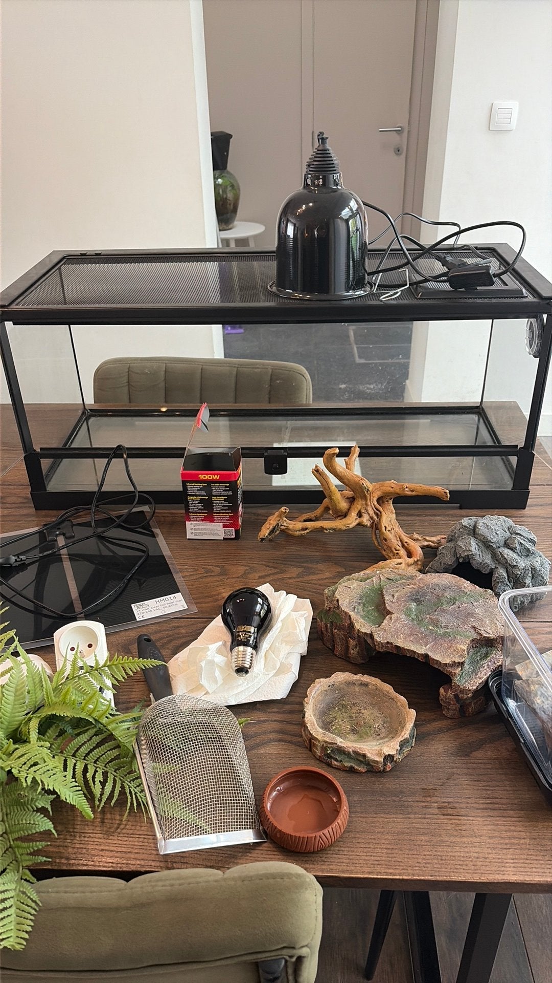 Volledige starterset terrarium, Dieren en Toebehoren, Ophalen, Zo goed als nieuw