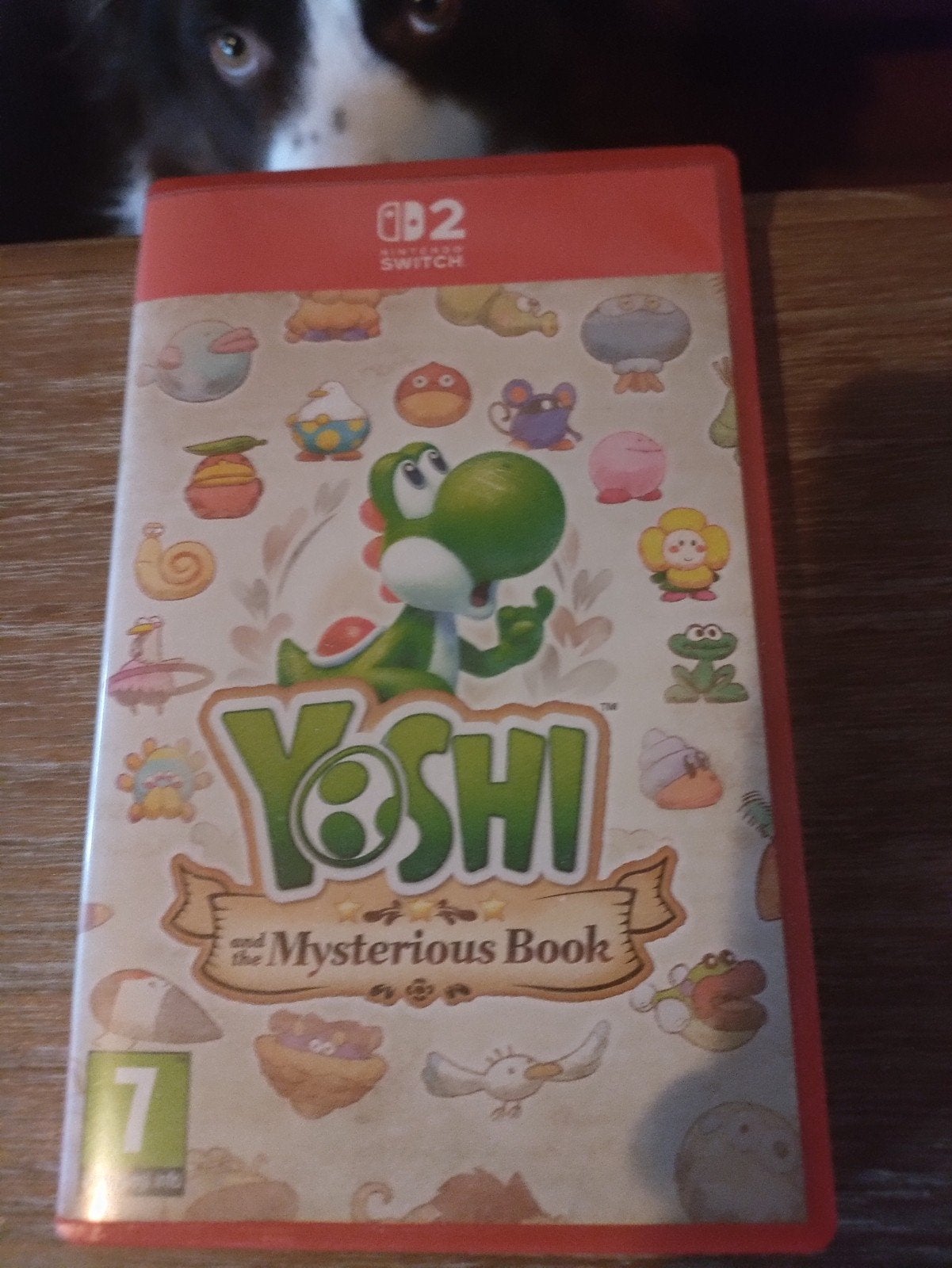 YOSHI and The Mysterious Book Fr, Games en Spelcomputers, Ophalen