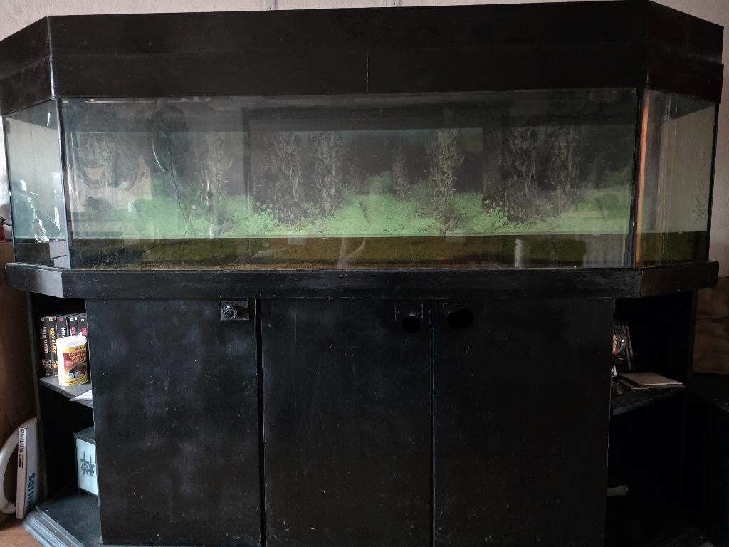 Aquarium + kast, Dieren en Toebehoren