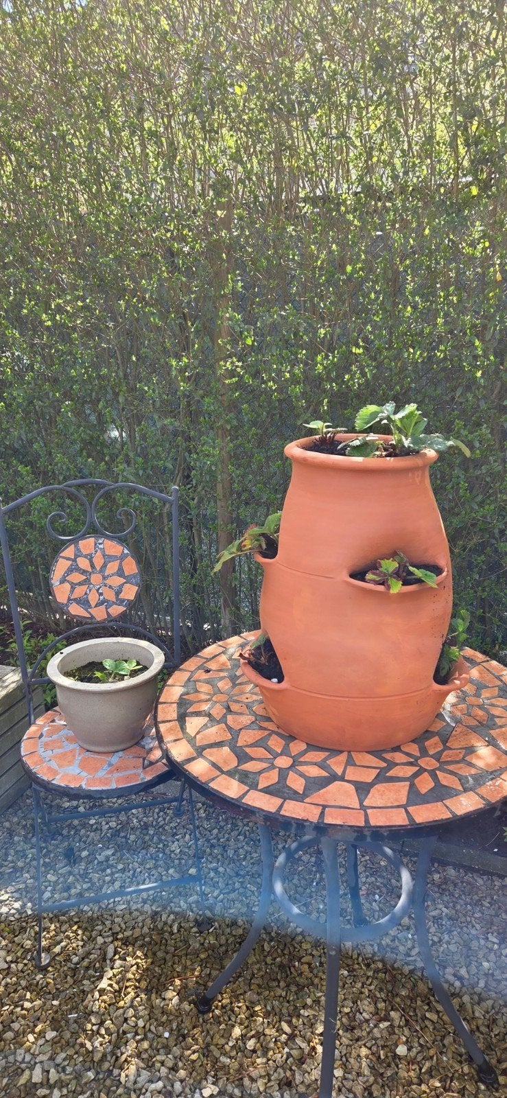 Ingeplante aardbei pot op bestelling, Ophalen, Steen, Balkon, Rond