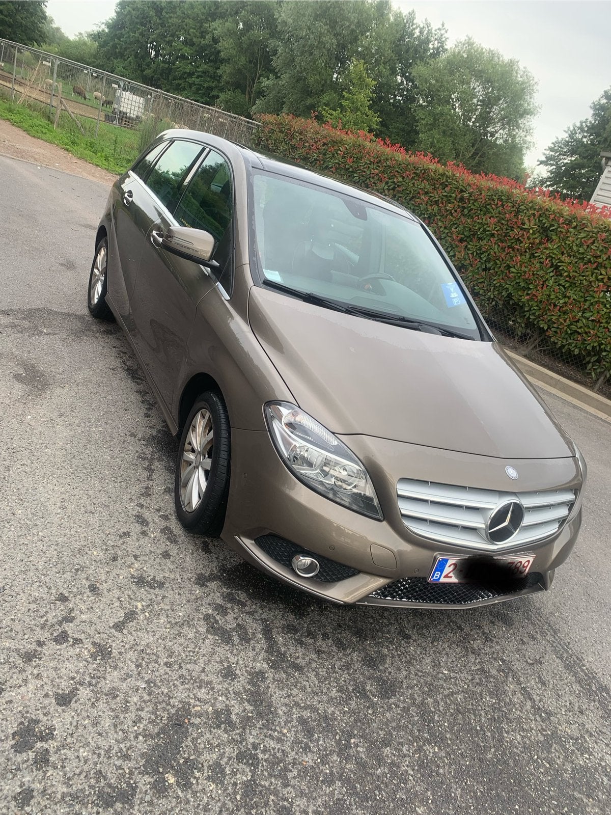 MERCEDES B180cdı, Autos, Mercedes-Benz, Euro 5, Achat, Beige, Entreprise