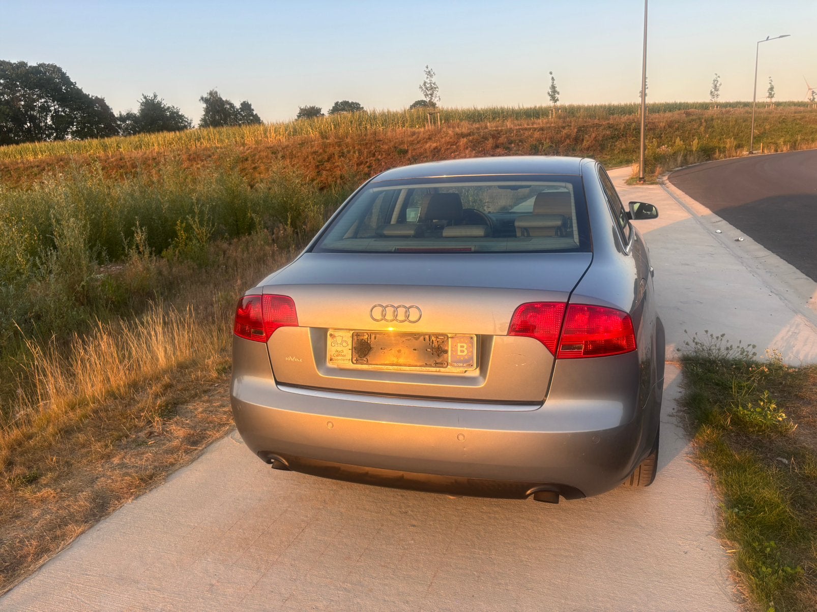 Audi A4 2.5 TDI, 100 kW, Argent ou Gris, Achat, Entreprise