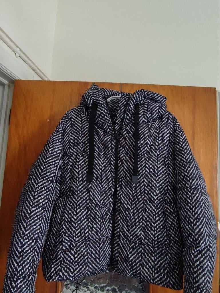XS jas met capuchon, Ophalen of Verzenden, Gedragen, Maat 46 (S) of kleiner, Zara