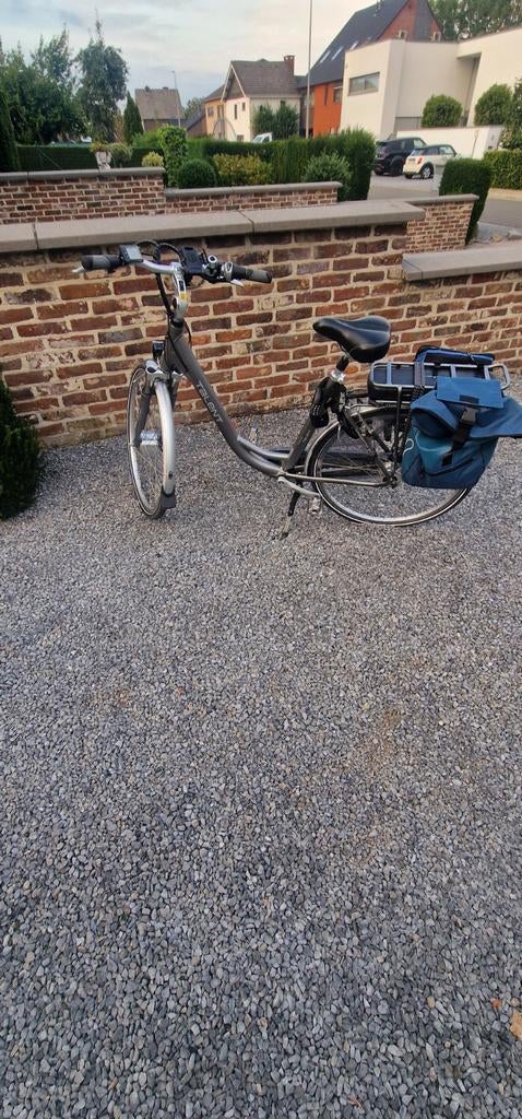 Elektrische fiets, Fietsen en Brommers, Elektrische fietsen, Ophalen