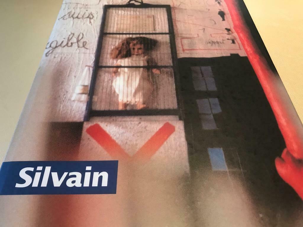 Christian Sylvain Hardcover catalogue raisonné 300pag, Ophalen of Verzenden, Zo goed als nieuw, Schilder- en Tekenkunst
