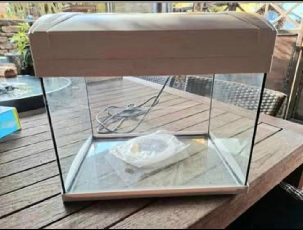 Aquarium blanc, Animaux & Accessoires, Poissons | Aquariums & Accessoires, Enlèvement ou Envoi
