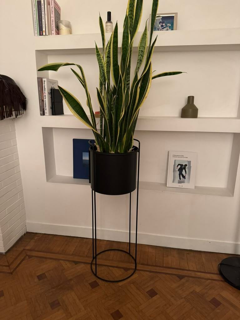 Plantenbak zwart, Enlèvement, Utilisé