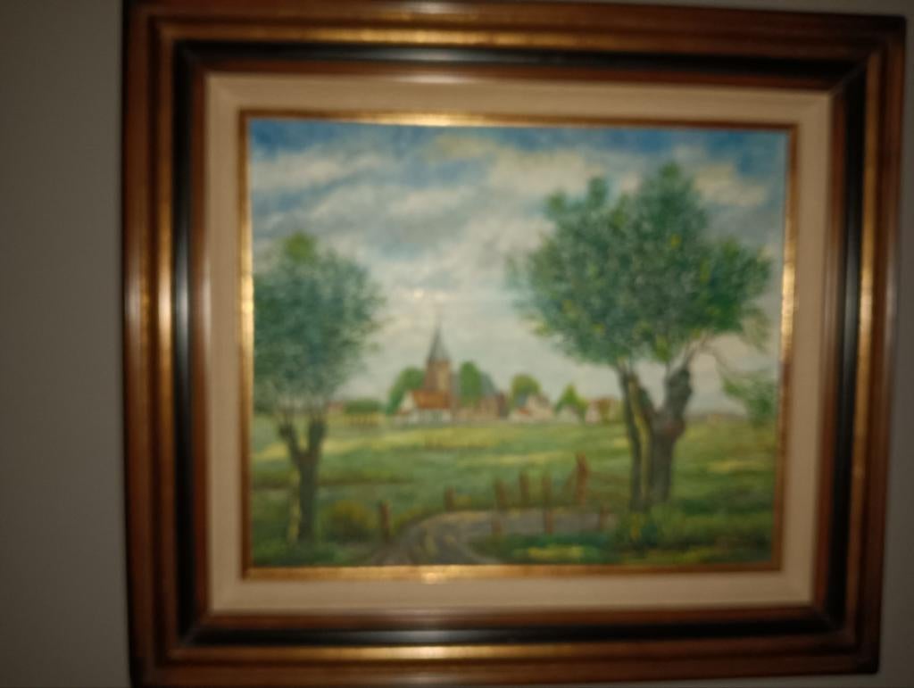 Dorpszicht, Antiek en Kunst, Kunst | Schilderijen | Klassiek, Ophalen