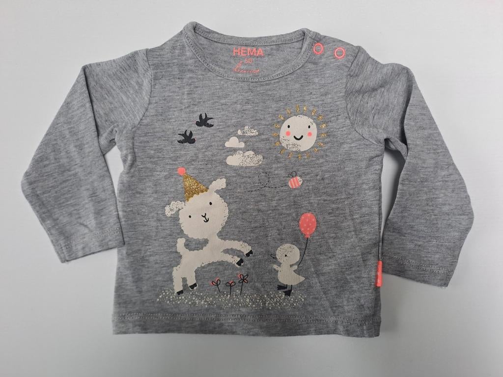 Mt 50 Grijze T-shirt lange mouwen lammetje en eendenkuiken, Kinderen en Baby's, Babykleding | Maat 50, Meisje, Ophalen of Verzenden