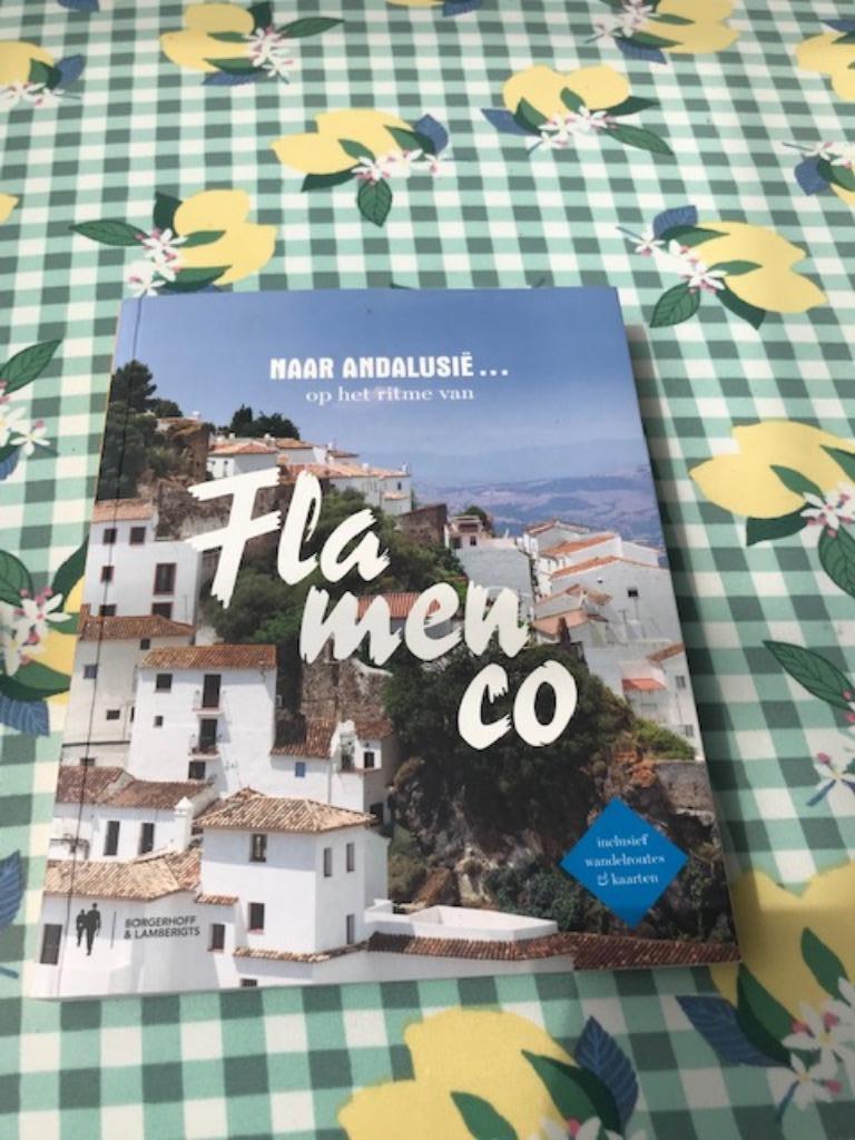 REISGIDS  : naar Andalusië op het ritme van de FLAMENCO, Guide ou Livre de voyage, Comme neuf, Enlèvement, Europe
