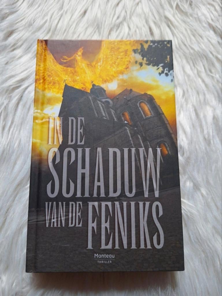 S. Lauryssens - In de Schaduw van de Feniks (Grimbergen), Ophalen of Verzenden, Nieuw, Stan Lauryssens