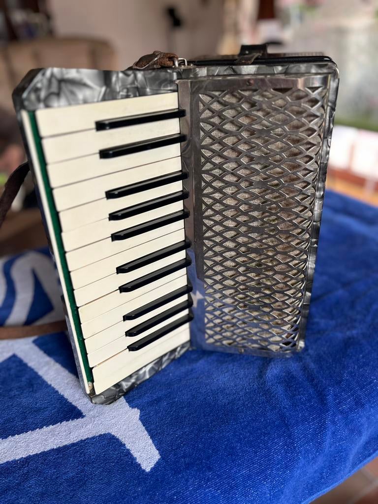Vintage accordeon Hohner Student II, Muziek en Instrumenten, Accordeons, Ophalen, Gebruikt, Hohner, Met koffer