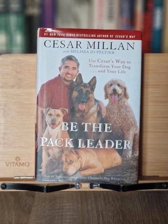 Be the pack leader  -  Cesar Millan., Boeken, Ophalen of Verzenden, Zo goed als nieuw, Honden