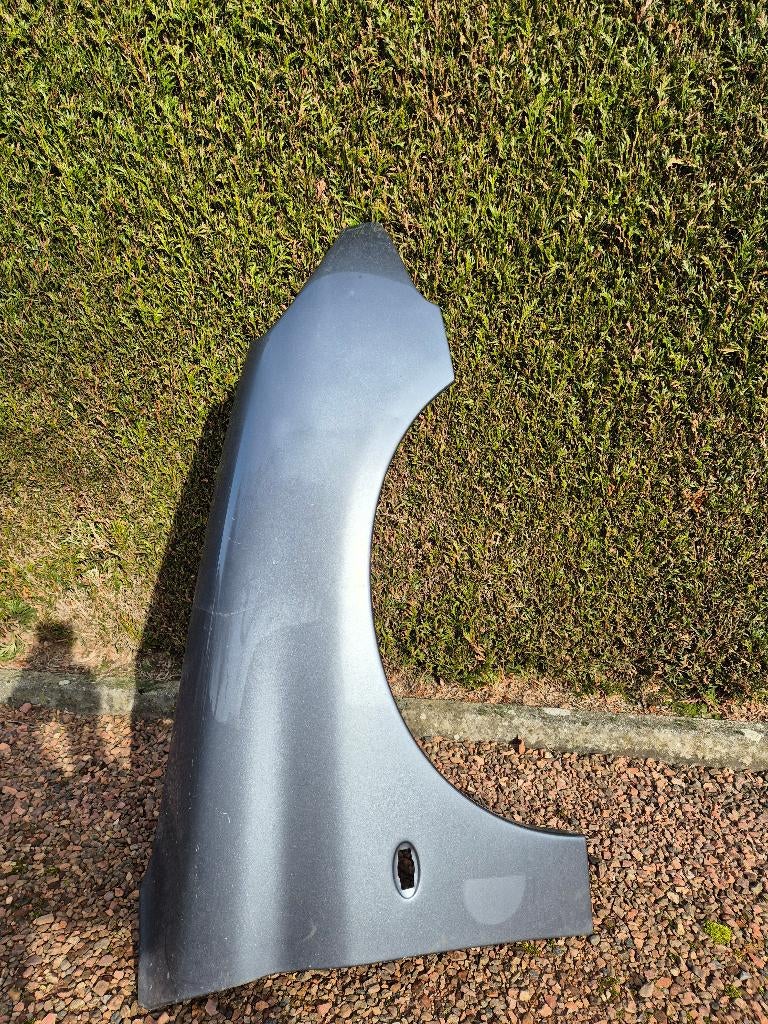 Spatbord rechts voor  , Peugeot 206., Auto-onderdelen, Ophalen, Gebruikt, Voor, Spatbord