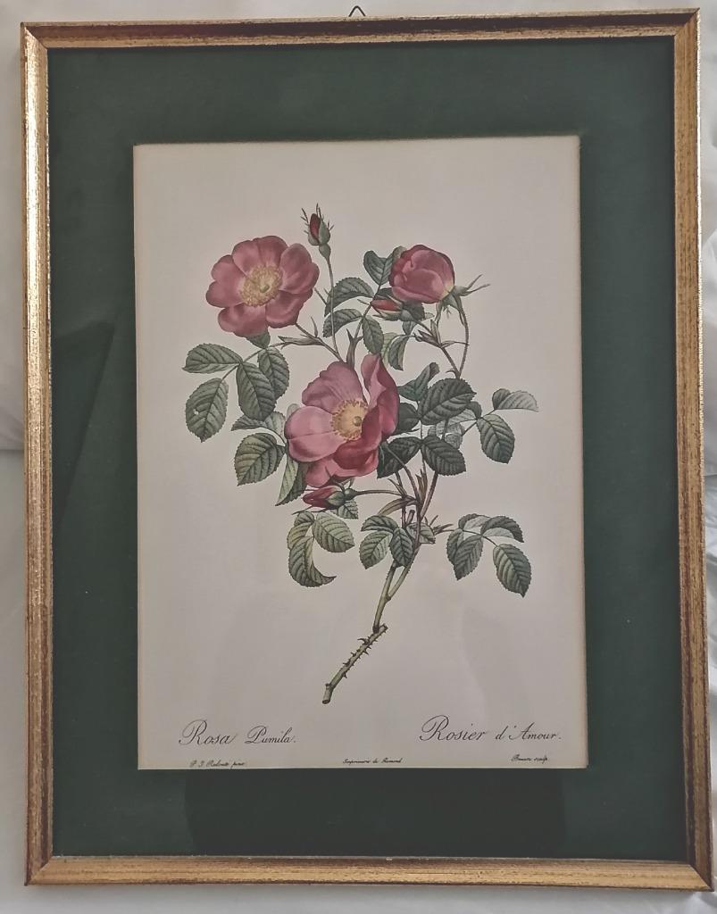 Schilderij (kunstafdruk), Ophalen, Zo goed als nieuw