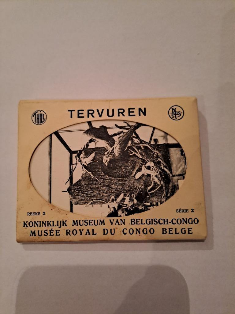 Tervuren, Musée royal du Congo belge, Collections, Enlèvement, 1960 à 1980, Non affranchie, Brabant Flamand