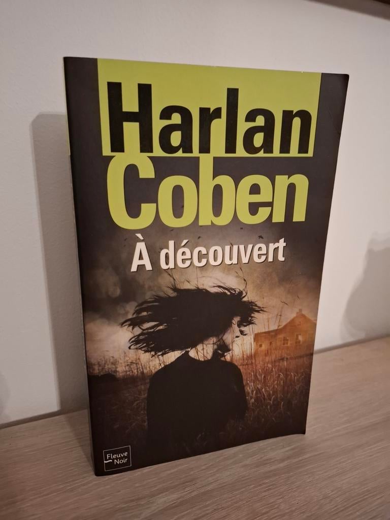 Harlan Coben (A découvert), Enlèvement