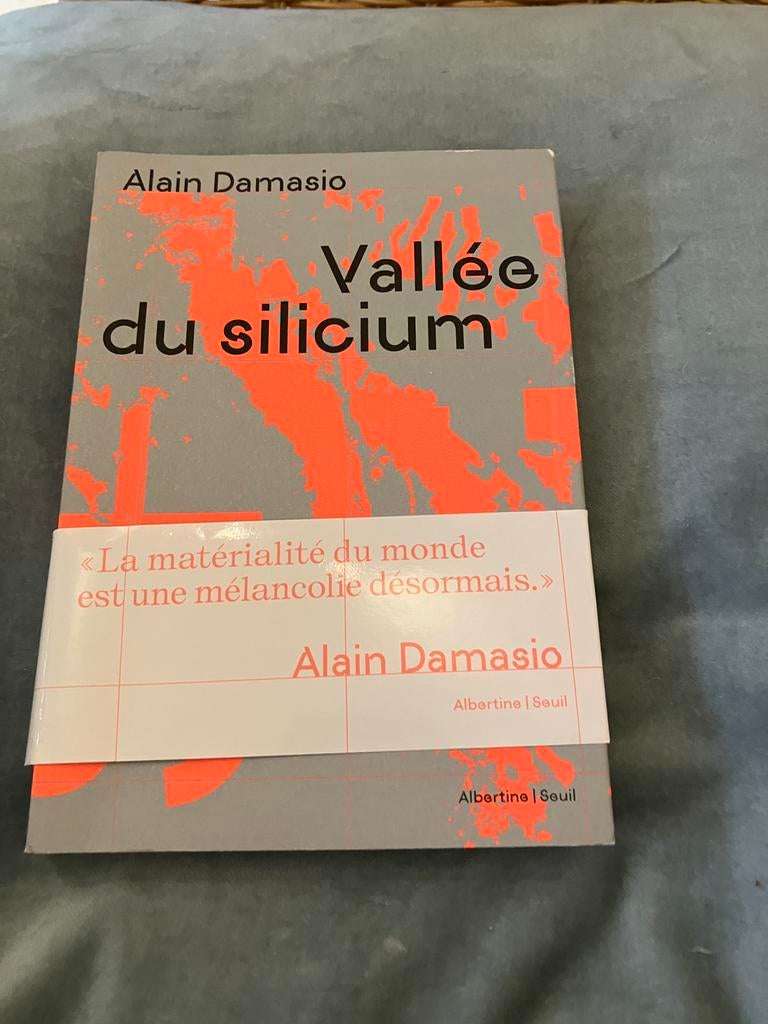 Vallée du silicium de Alain Damassio, Alain Dallmassio, Comme neuf, Enlèvement, Sciences humaines et sociales