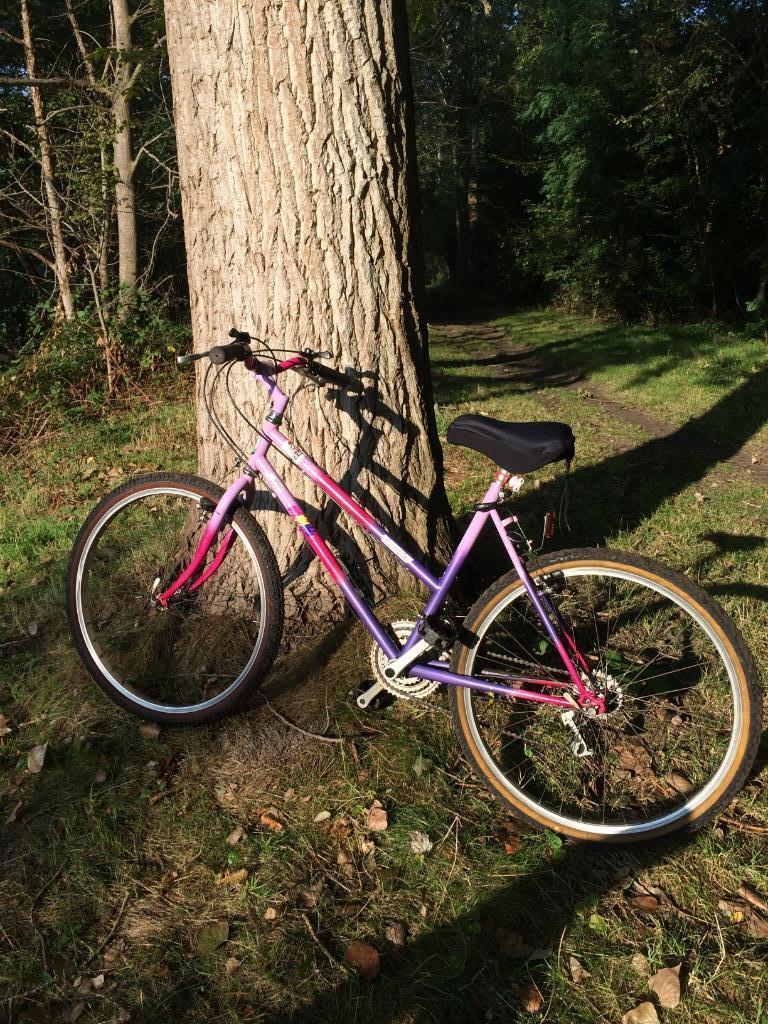 Vélo de montagne 26 pouces, 45 à 49 cm, Femmes, Enlèvement, Utilisé