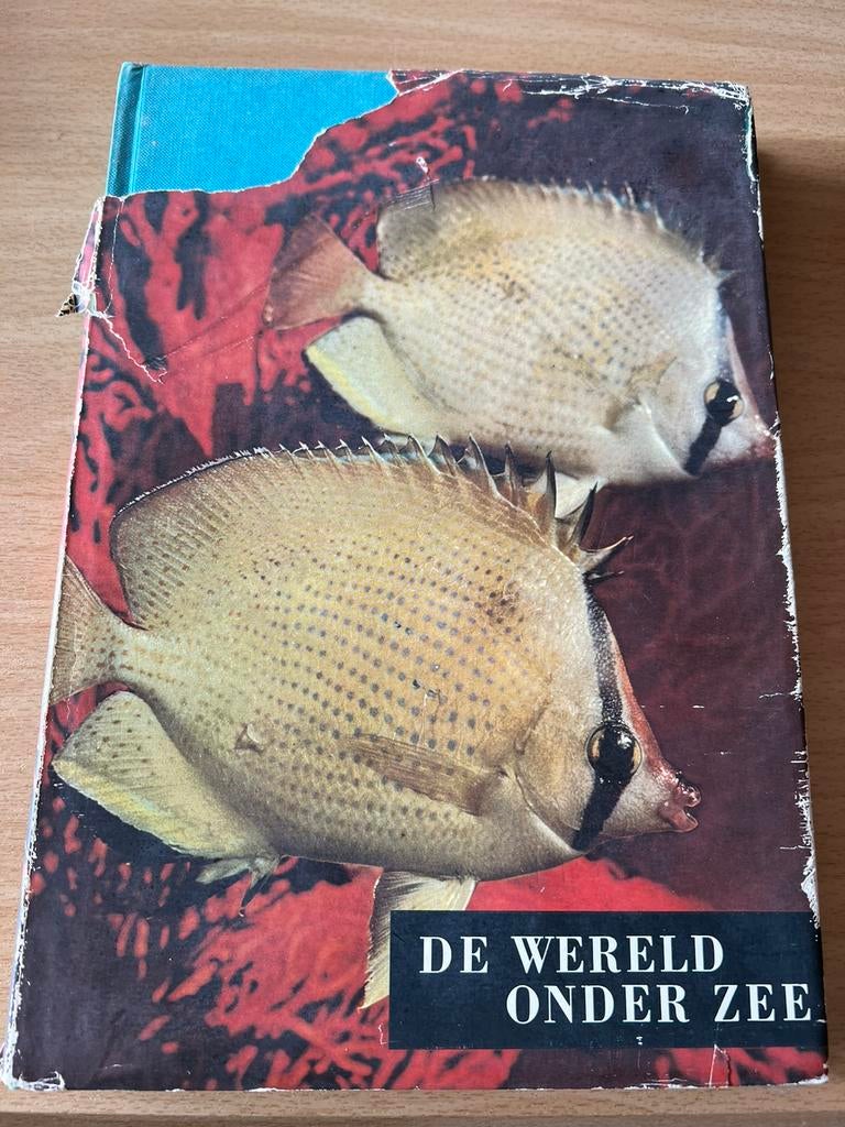 De wereld onder zee, Ophalen of Verzenden, Zo goed als nieuw