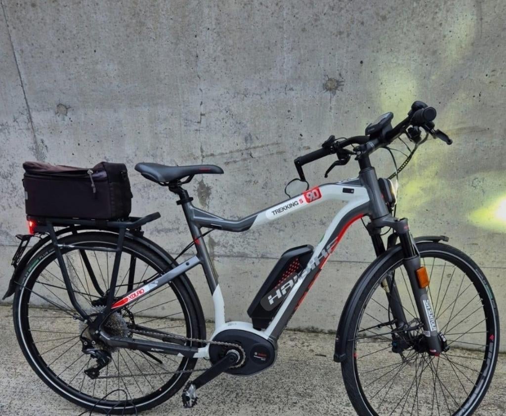 Speed Pedelec fiets maat L, licht gerold en zeer goed onderh, Fietsen en Brommers, Ophalen