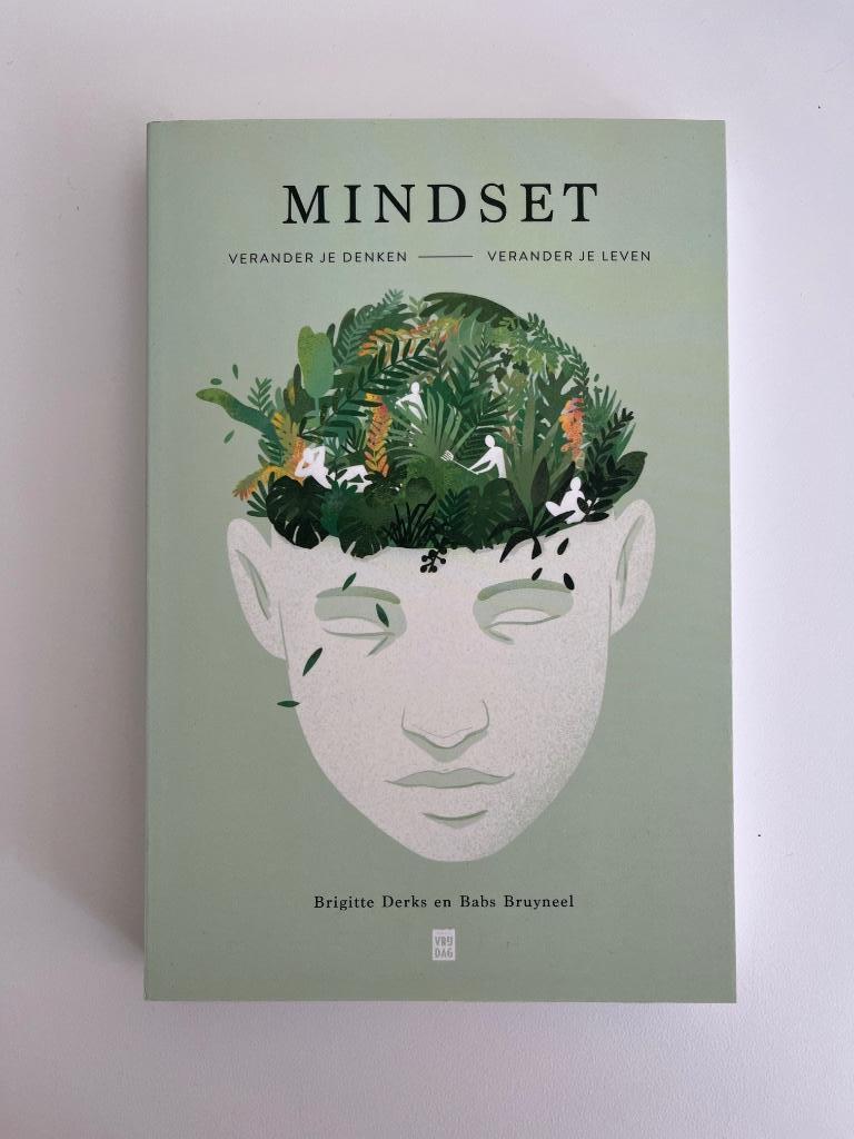Boek Mindset - Brigitte Derks en Babs Bruyneel, Ophalen of Verzenden, Nieuw