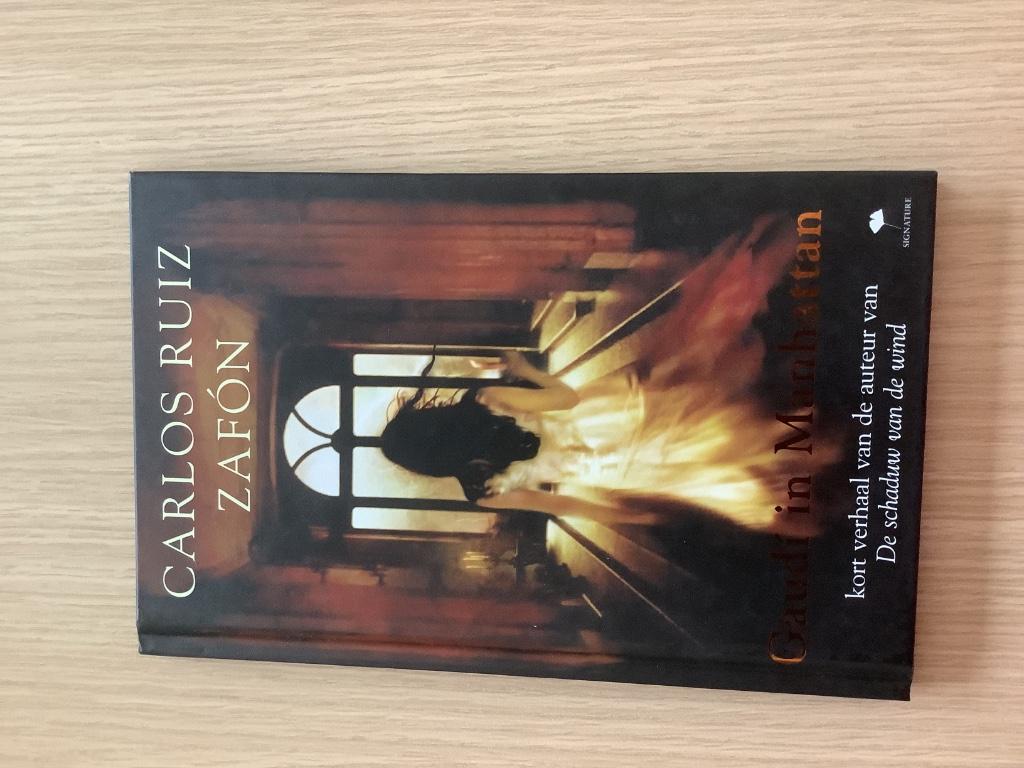 Boek : Gaudi in Manhattan, Ophalen of Verzenden, Nieuw, Diverse