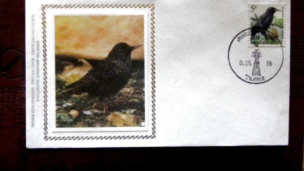 FIRST DAY COVER OP ZIJDE- VOGELS VAN BUZIN- DE SPREEUW, Ophalen of Verzenden, Gestempeld, Dier of Natuur