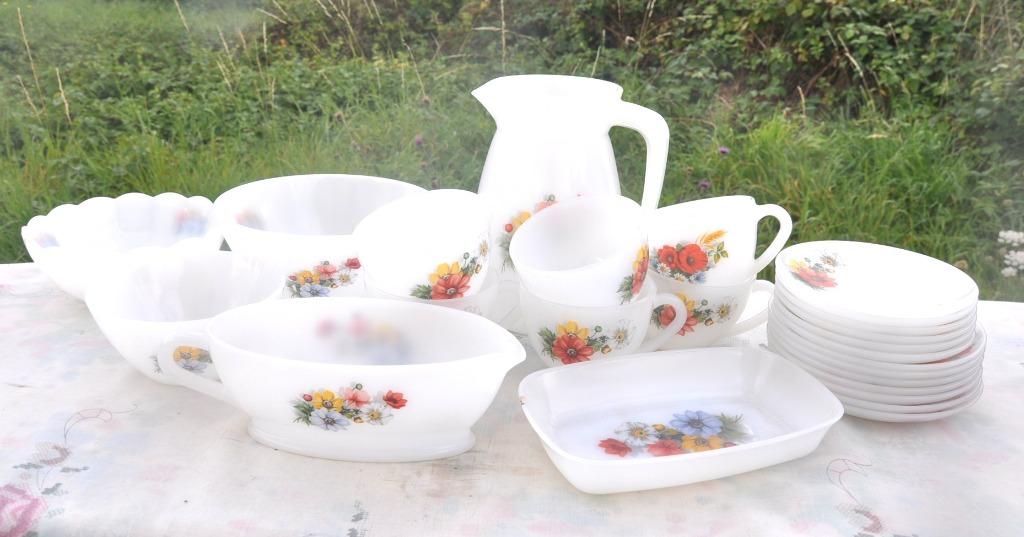 ensemble arcopal fleurs des champs 2 motifs 25 pieces, Enlèvement, Utilisé, Autres matériaux, Service complet