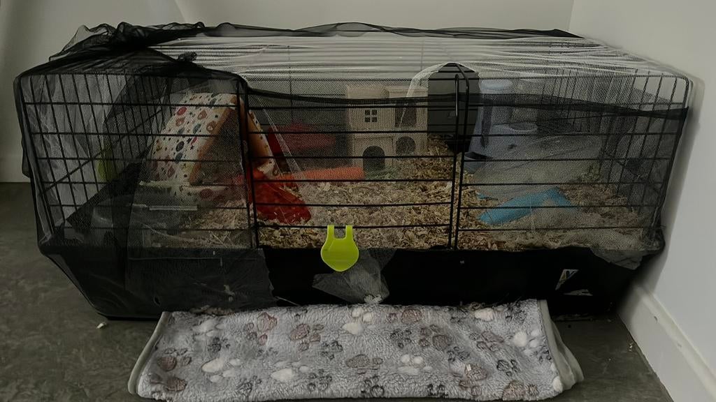 Hamster nain blanc avec cage et tout, Enlèvement, Comme neuf, Cage, Hamster