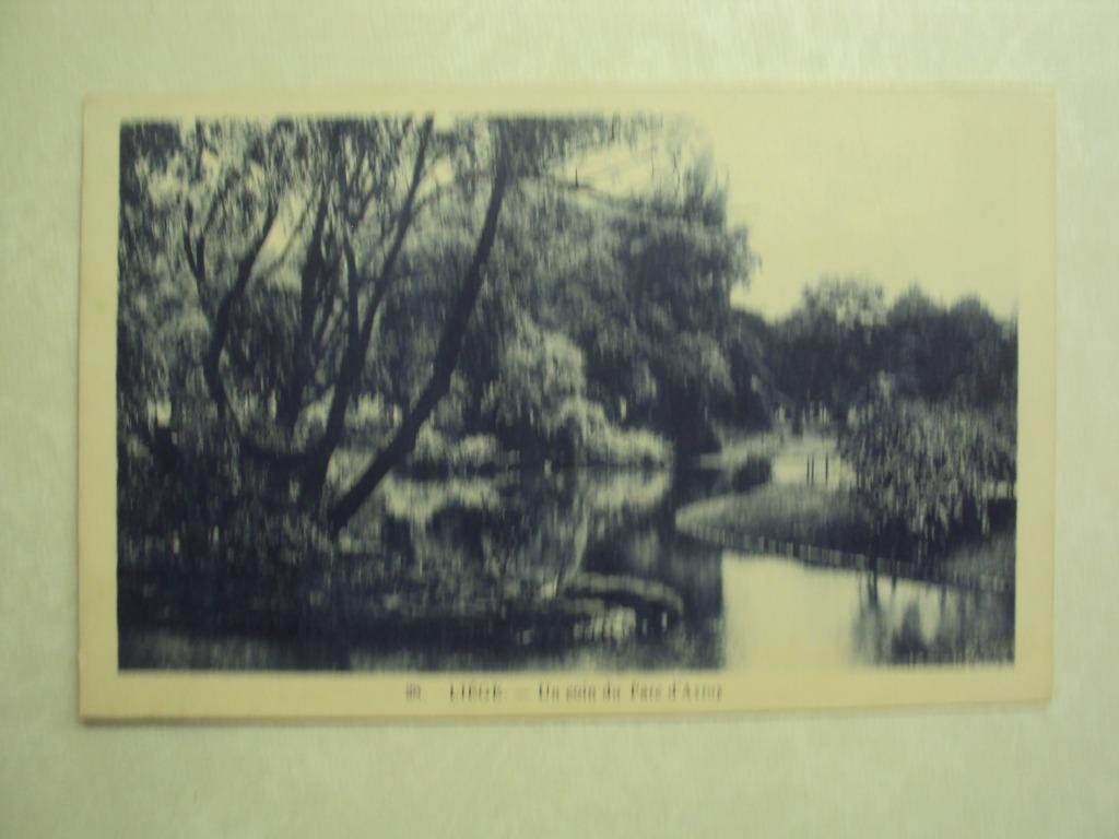 53525 - LIEGE - UN COIN DU PARC D'ANVOY - ZIE 2 FOTO'S, Envoi